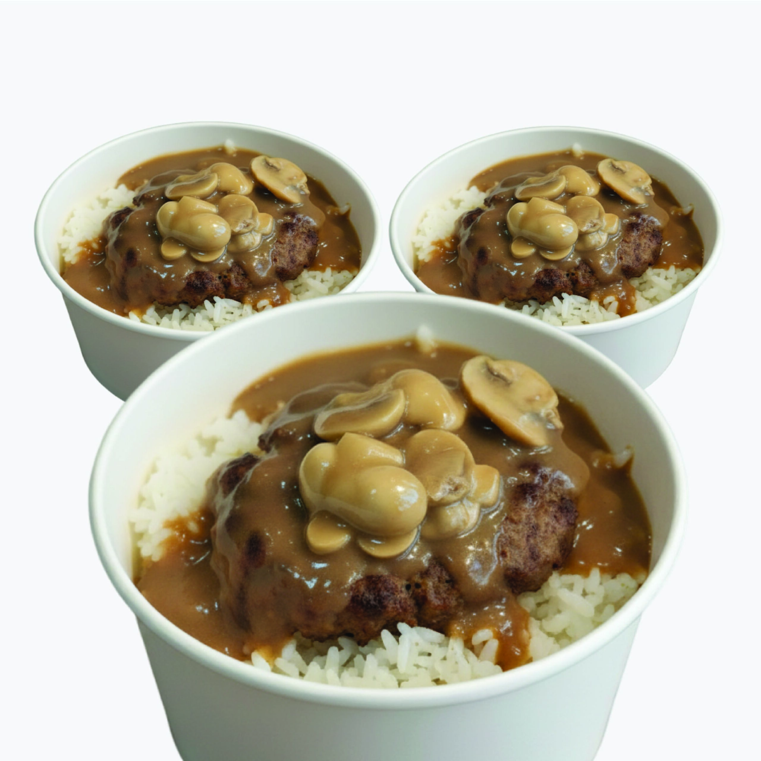 Salisbury Steak Rice Meal 3x